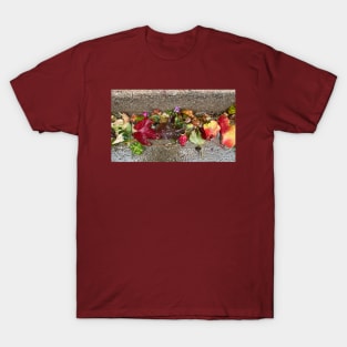 autumn leaves T-Shirt